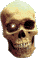 skull - 免费动画 GIF 动画 GIF