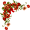 red pansies - δωρεάν png κινούμενο GIF