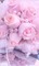 Pearl and Rose - By StormGalaxy05 - gratis png geanimeerde GIF