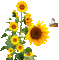 Blume fleur flower - GIF animé gratuit GIF animé