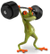 Kaz_Creations Frogs Frog - besplatni png animirani GIF