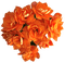 Orange.Fleurs.Flower.Bouquet.Victoriabea - Free PNG Animated GIF