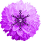 Snowflake.Glitter.Flower.Purple - besplatni png animirani GIF