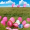 Easter Eggs in Field - gratis png geanimeerde GIF