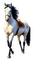 Paard - kostenlos png Animiertes GIF