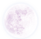 purple moon - png gratis GIF animasi