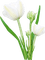 Flowers white bp - ilmainen png animoitu GIF