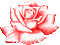 Flower, Flowers, Deco, Decoration, Rose, Roses, Red - Jitter.Bug.Girl - GIF animé gratuit GIF animé