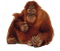 monkey bp - bezmaksas png animēts GIF