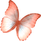 All  my butterflys - безплатен png анимиран GIF
