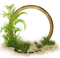 cadre cercle herbe frame grass circle