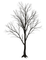 Деревья - δωρεάν png κινούμενο GIF