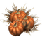 Pumpkin.Citrouille.Calabazas.Orange.Victoriabea - Free PNG Animated GIF