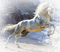 Cheval blanc White Horse Cavallo bianco - gratis png geanimeerde GIF