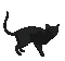 cat - Darmowy animowany GIF animowany gif