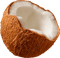 coconut Bb2 - ingyenes png animált GIF