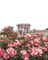 Flowers - Nemokamas animacinis gif