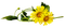 Kaz_Creations Deco Flowers Dandelion Flower - gratis png geanimeerde GIF