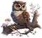 Owl.Buho.Chouette.Hibou.Victoriabea - Free PNG Animated GIF