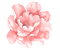 VanessaValo-crea vintage pink flower - PNG gratuit GIF animé