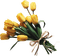 yellow-tulips-flower-minou52 - zadarmo png animovaný GIF