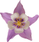 EstrellaCristal73 - безплатен png анимиран GIF