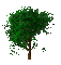 Marcia gif árvore - Nemokamas animacinis gif animuotas GIF