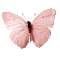 Papillon.Butterfly.Pink.rose.Victoriabea - GIF animé gratuit GIF animé