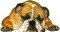Cachorro - безплатен png анимиран GIF