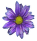 Flower.Purple.Fleur.violet.Victoriabea - PNG gratuit GIF animé