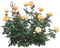 rosal - безплатен png анимиран GIF