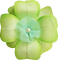 dolceluna green flower - PNG gratuit GIF animé