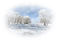 Winter Backgrounds - 免费PNG 动画 GIF