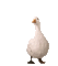 Птица - Bezmaksas animēts GIF animēts GIF
