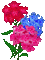 Red Blue Pink Hydrangea Flowers