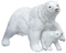 aze ours blanc White