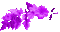 Leaves.Flowers.Purple.Animated - KittyKatLuv65 - Gratis geanimeerde GIF geanimeerde GIF