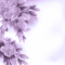 Y.A.M._Spring Summer background  purple - png grátis Gif Animado