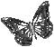 Animated.Butterfly.Black - KittyKatLuv65 - Ücretsiz animasyonlu GIF animasyonlu GIF