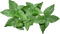 leaves, lehdet - png grátis Gif Animado
