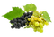 Obst und Gemüse - ücretsiz png animasyonlu GIF