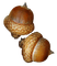 acorns - бесплатно png анимированный гифка