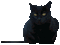 cat katrin - Ücretsiz animasyonlu GIF animasyonlu GIF