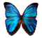 Kaz_Creations Butterfly - фрее пнг анимирани ГИФ