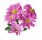 fleurs ( - png grátis Gif Animado
