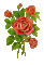vintage roses - GIF animé gratuit GIF animé