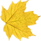 autumn yellow leaf deco - Free PNG Animated GIF