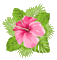 Розовый цветок - GIF animé gratuit