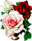 Rose - png gratuito GIF animata