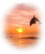 coucher de soleil - png gratuito GIF animata